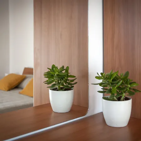 And Tea Apartment Rovinj